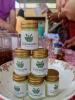 โครงการด้านการพัฒนาสตรีและครอบครัว (การฝึกอบรมการทำยาหม่องสม