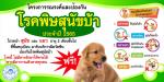 โครงการรณรงค์และป้องกันโรคพิษสุนัขบ้า ประจำปี 2565